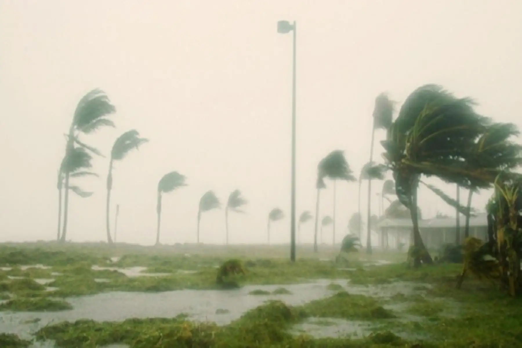 Hay 35 provincias de las nueves regiones de la Selva en alerta por el incremento del viento, por lo que las autoridades deben adoptar medidas de prevención.
