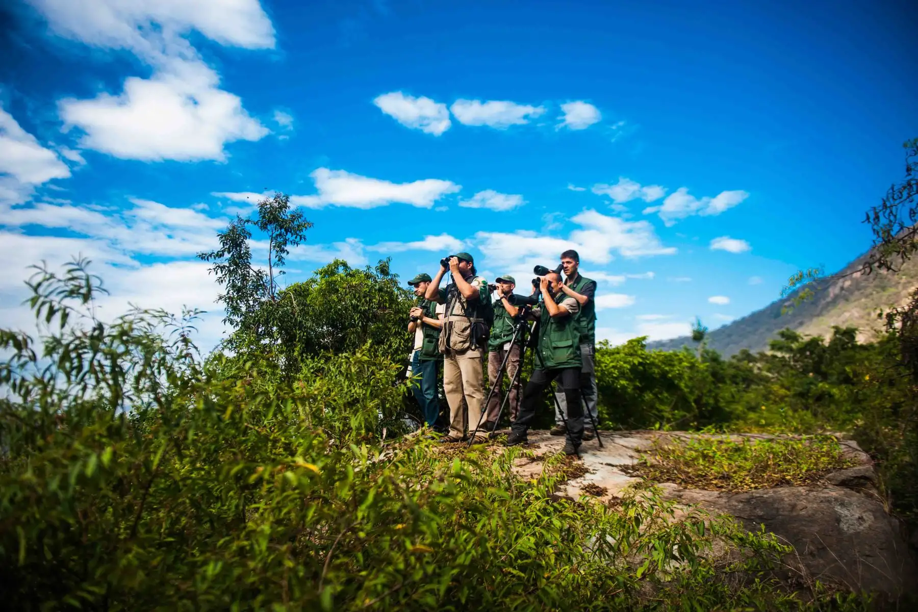 Guacamayos en el Parque Nacional del Manu.Foto: ANDINA/PROMPERÚ