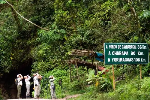 Perú es uno de los países favoritos de ganar el Global Big Day 2024, debido a la gran variedad de especies de aves que alberga. ANDINA/Difusión