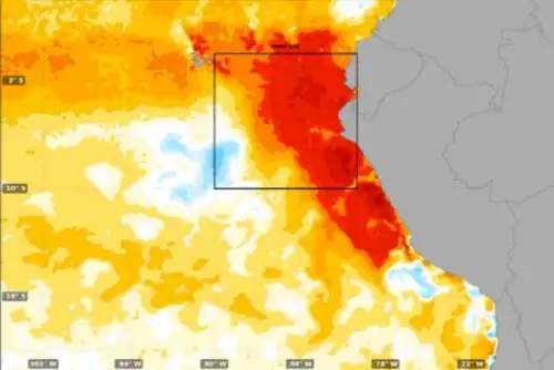 Niño Costero continuará hasta inicios de la primavera, según Enfen.