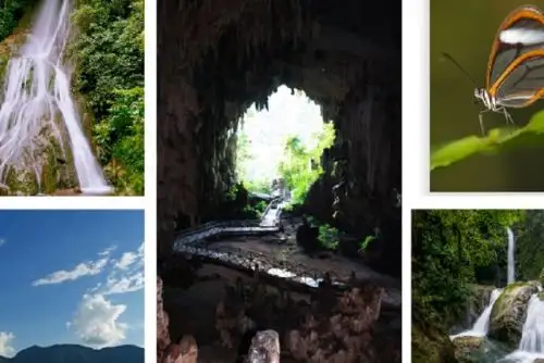 Una de las joyas naturales que alberga la región Huánuco es el Parque Nacional Tingo María, que este 14 de mayo celebra su 58 aniversario como área natural protegida por el Estado.