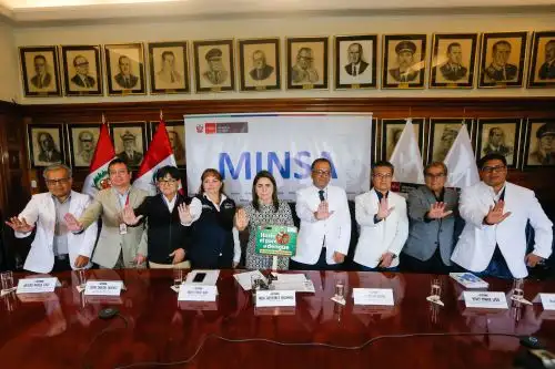 El grupo de expertos será responsable de generar las políticas e intervenciones de control frente al dengue en beneficio de la ciudadanía, gobiernos locales y regionales, por ello deberá brindar soporte técnico. ANDINA/ Minsa.