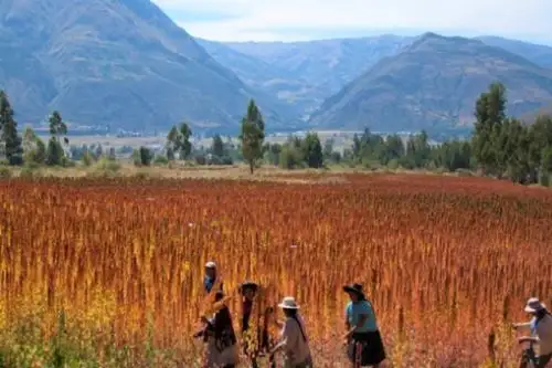 Si estás interesado en desarrollar alguna iniciativa o proyecto agropecuario, forestal, pesquero, acuícola, minero, energético o turístico, es importante que sepas previamente las diferentes alternativas de uso y ocupación adecuada del territorio, para aprovechar sosteniblemente los recursos naturales que se encuentran en el espacio geográfico donde piensas ejecutarlo.