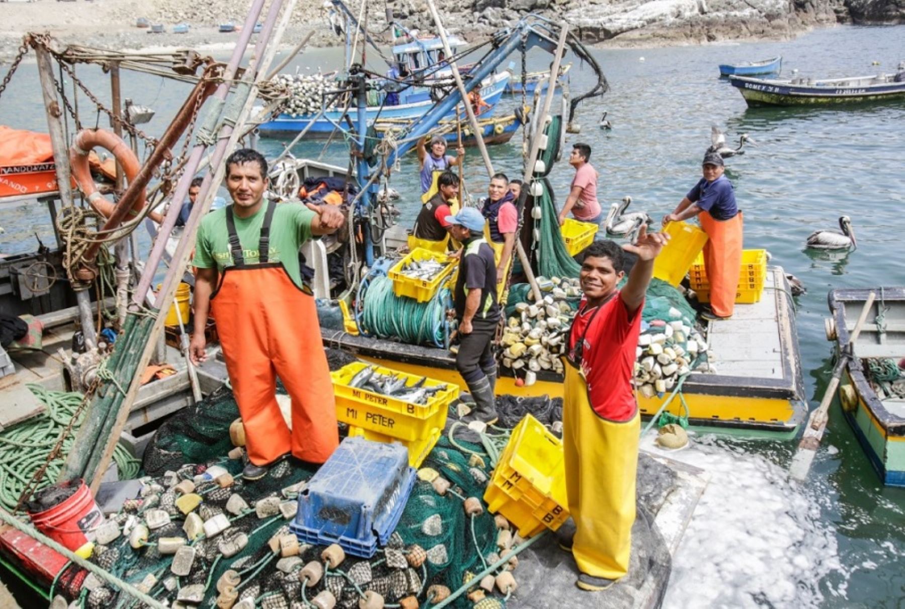El Ministerio de la Producción (Produce) culminó con la entrega del Bono del Pescador, subsidio económico de 500 soles que se otorgó a pescadores artesanales embarcados y no embarcados del país como parte de la medida Con Punche Productivo.
