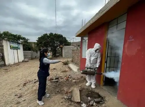 Las brigadas redoblan sus acciones para combatir el brote de dengue y eliminar los criaderos del zancudo transmisor de la enfermedad que pone en riesgo continuidad de las clases presenciales. ANDINA/Difusión