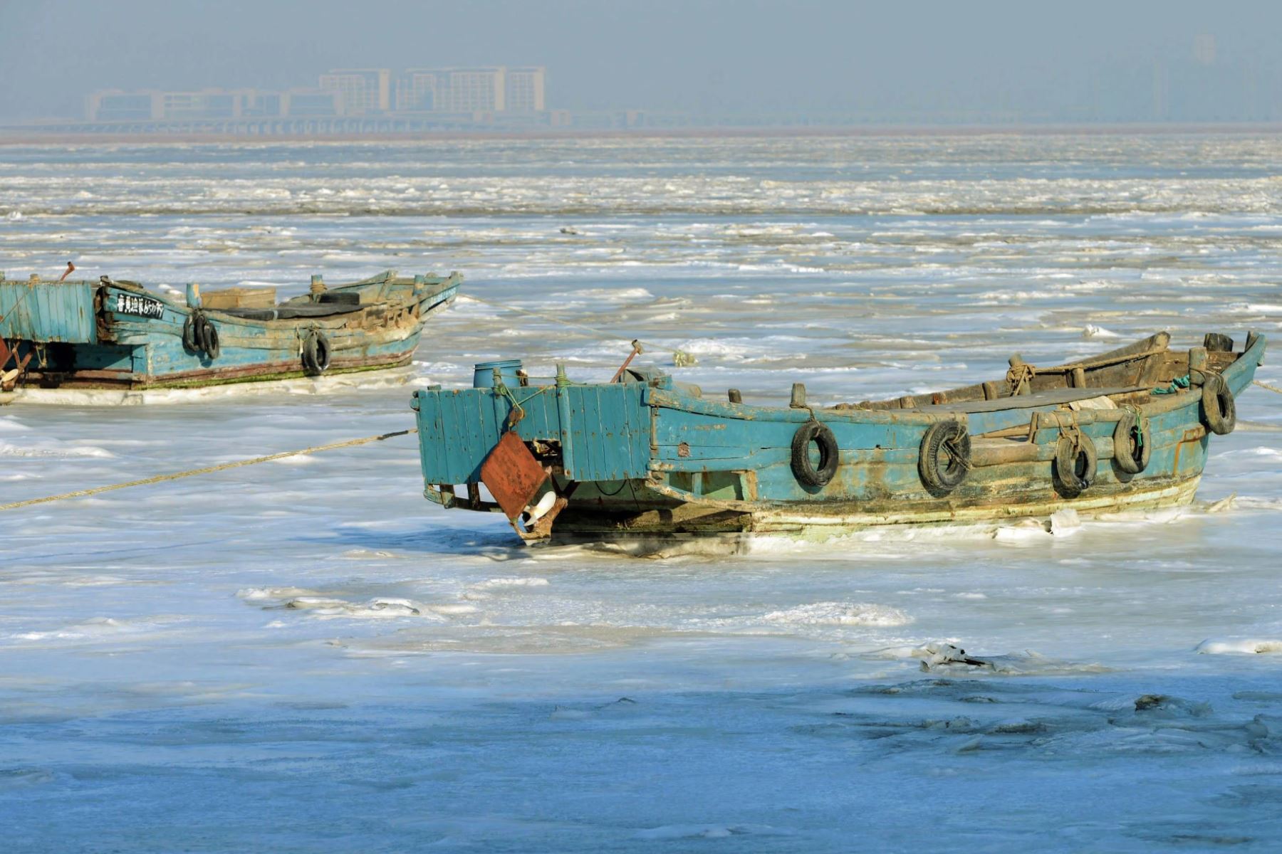 La bahía de Jiaozhou, en Qingdao, es una de las más prósperas, a nivel comercial, de China. Sin embargo, hay perturbación en su biodiversidad marina. Foto: AFP