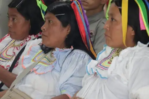 El Ministerio de Cultura lanzó, en la provincia de Moyobamba, región San Martín, la convocatoria nacional del primer curso de intérpretes y traductoras de lenguas indígenas u originarias dirigida exclusivamente a mujeres hablantes de las 48 lenguas indígenas de nuestro país, con la finalidad de fortalecer los servicios públicos para mujeres pertenecientes a pueblos indígenas u originarios en situación de vulnerabilidad.
