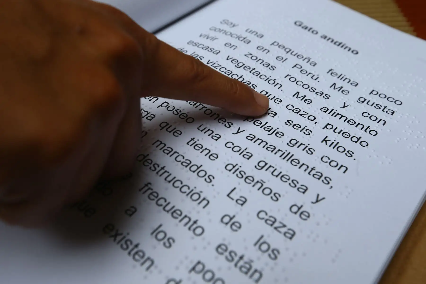 Tercera colección de libros cartoneros en sistema braille, conformados por los siguientes títulos: Intelectuales peruanas (Flora Tristán, Rosa Arciniega y María Wiesse), Animales en peligro de extinción (pelícano, lobo marino, gato andino y guanaco) y Plantas medicinales del Perú (ayrampu, muña, eucalipto y boldo)
Foto: ANDINA/Eddy Ramos