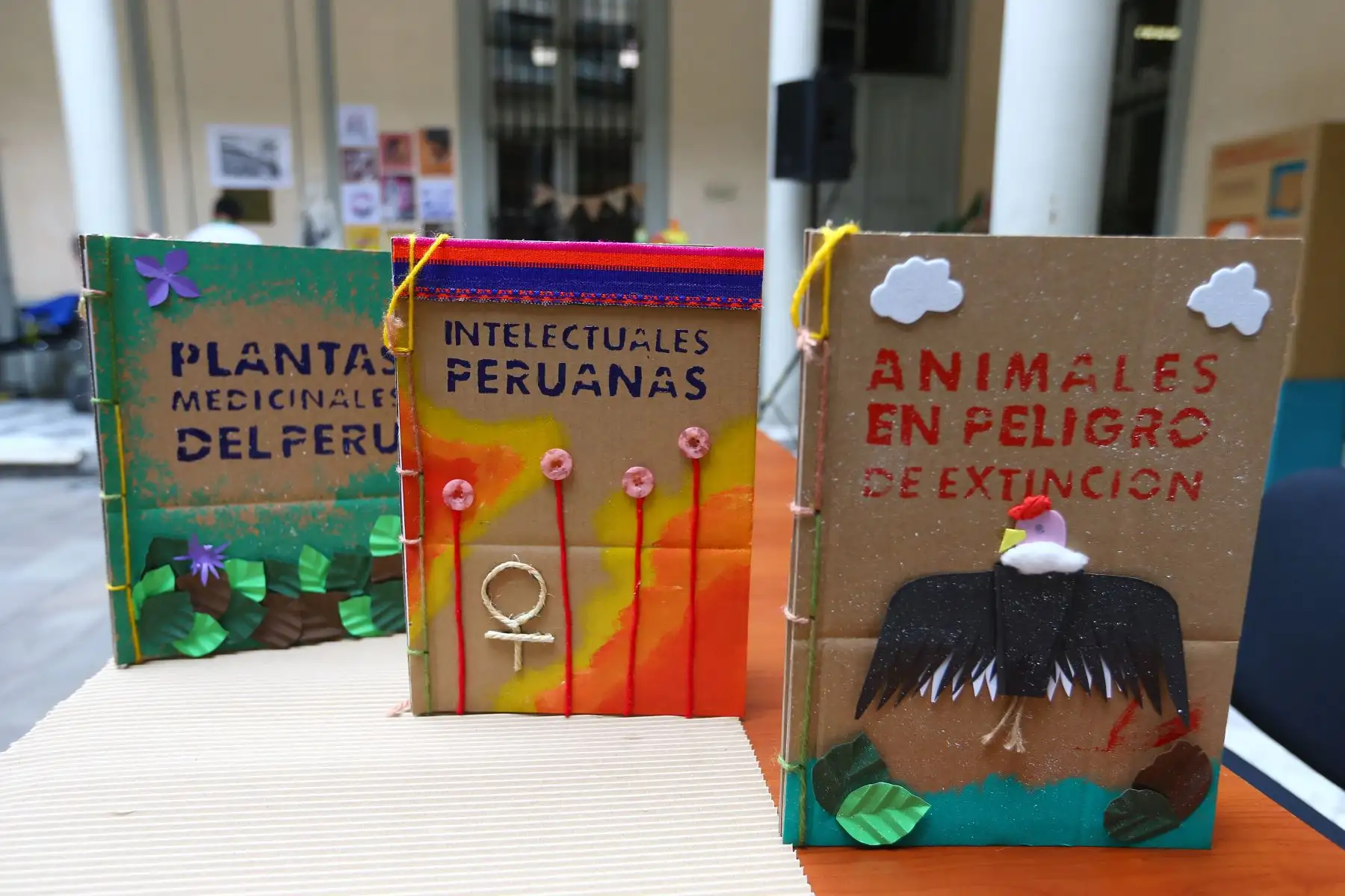Tercera colección de libros cartoneros en sistema braille, conformados por los siguientes títulos: Intelectuales peruanas (Flora Tristán, Rosa Arciniega y María Wiesse), Animales en peligro de extinción (pelícano, lobo marino, gato andino y guanaco) y Plantas medicinales del Perú (ayrampu, muña, eucalipto y boldo)
Foto: ANDINA/Eddy Ramos