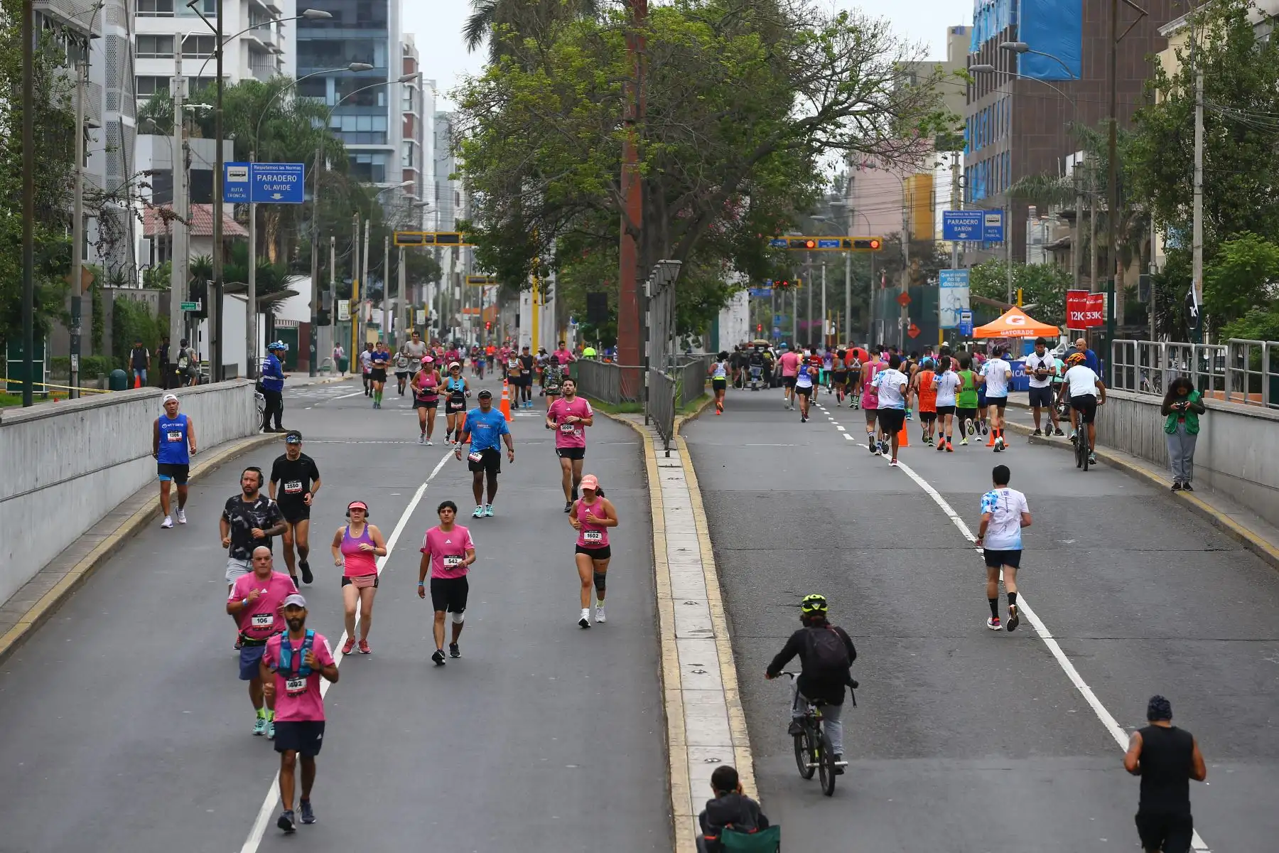 Los deportistas recorrieron importantes avenidas como Pardo, Diagonal, Larco, Benavides, toda la av. Arequipa, Garcilaso de la Vega, 9 de diciembre, Paseo de la República, entre otras.
Foto: ANDINA/ Eddy Ramos