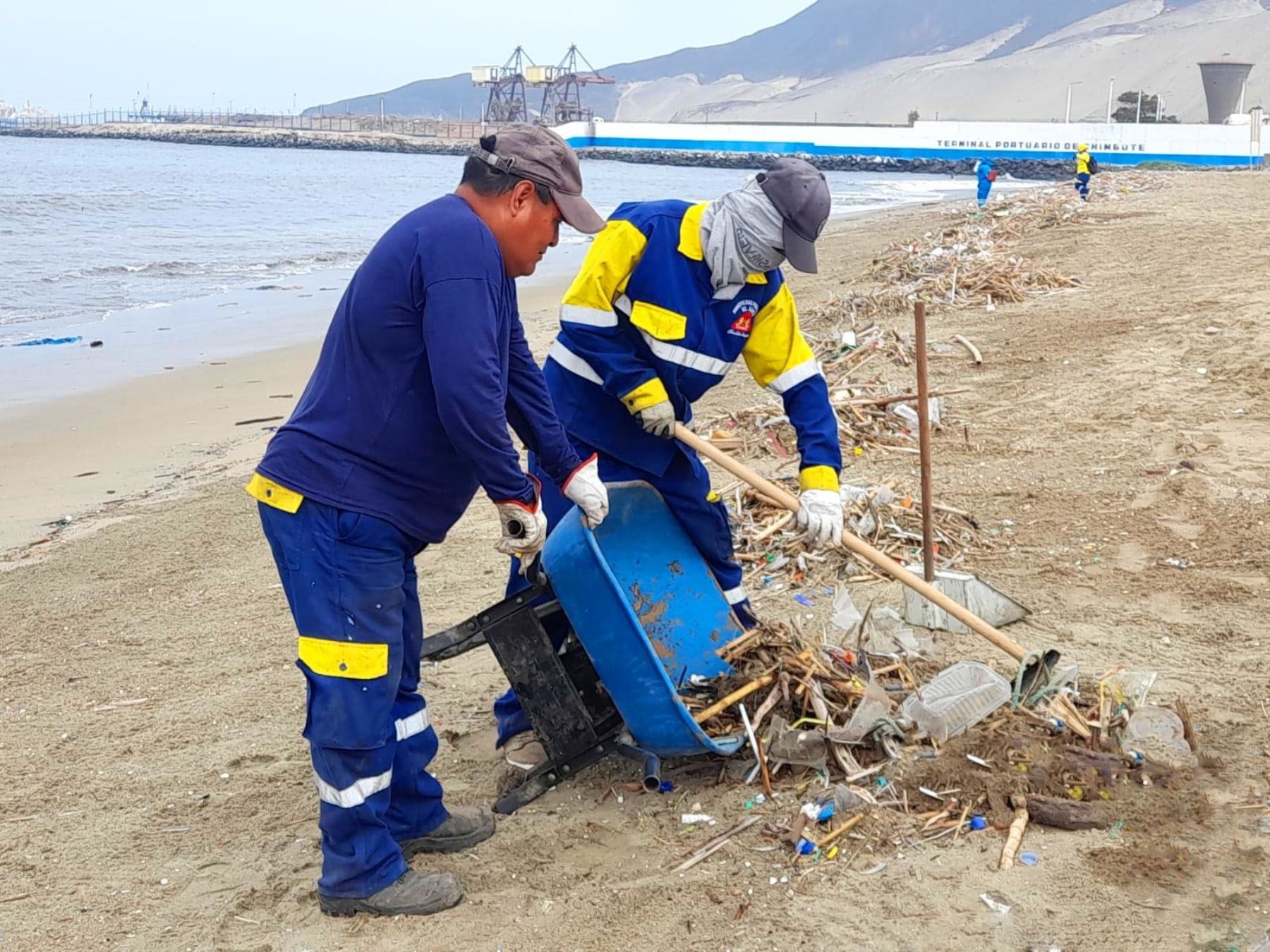 Trabajadores de la Municipalidad del Santa-Chimbote hallaron diez lobos marinos muertos en playas de esta ciudad, presuntamente afectados por la gripe aviar. ANDINA/Difusión