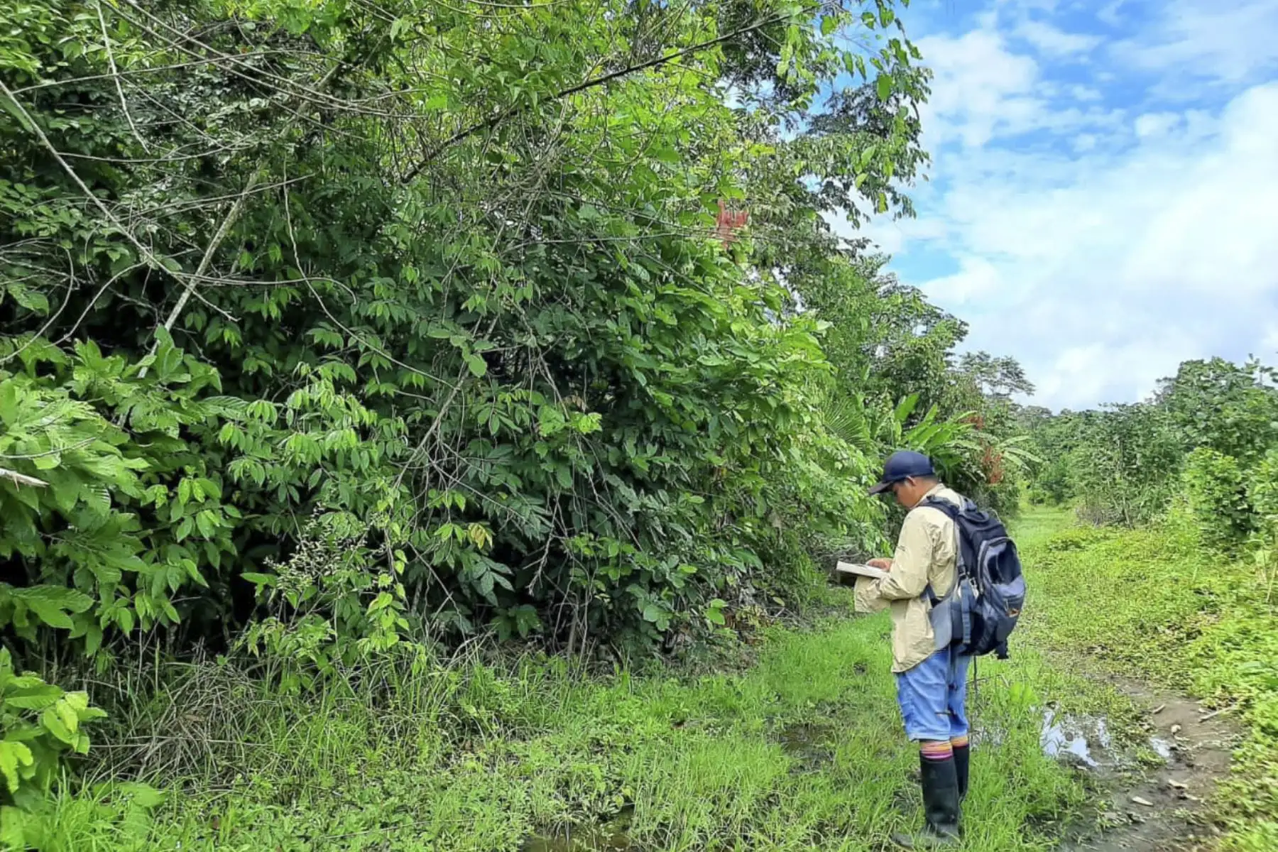 Con 1456 especies de aves, el Perú se distinguió como el segundo país con el mayor número de registro de aves durante el Global Big Day 2023, el mayor evento de avistamiento en el planeta, convocado cada año por el Departamento de Ornitología de la Universidad de Cornell, Estados Unidos.
Foto: ANDINA/Sernanp