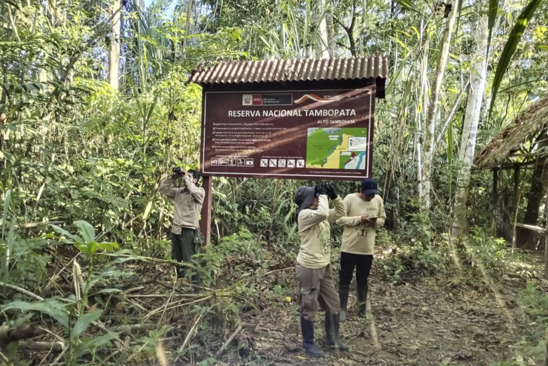 Según informó el Servicio Nacional de Áreas Naturales Protegidas por el Estado (Sernanp), del total de especies de aves registradas durante esta competencia en el Perú, el 66% corresponde al avistamiento en áreas naturales protegidas, es decir 968 se registraron en áreas como el Parque Nacional del Manu, Reserva Nacional de Paracas, Santuario Histórico Bosque de Pómac, Refugio de Vida Silvestre Laquipampa, Reserva Comunal Amarakaeri, y el Santuario Nacional Los Manglares de Tumbes, entre otros. 
Foto: ANDINA/Sernanp