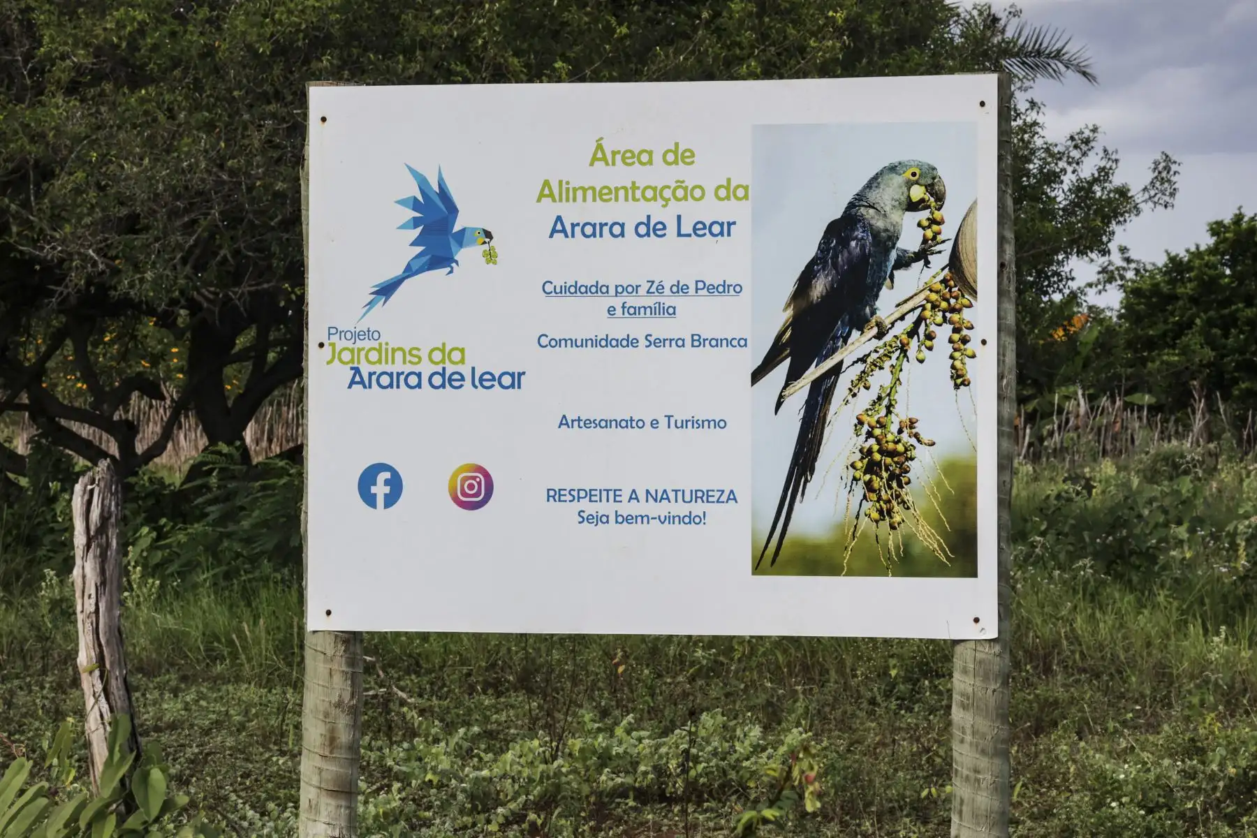 Un letrero que indica un área de alimentación para los guacamayos de Lear (Anodorhynchus leari) se muestra en Serra Branca, estado de Bahía, Brasil.
Foto: AFP