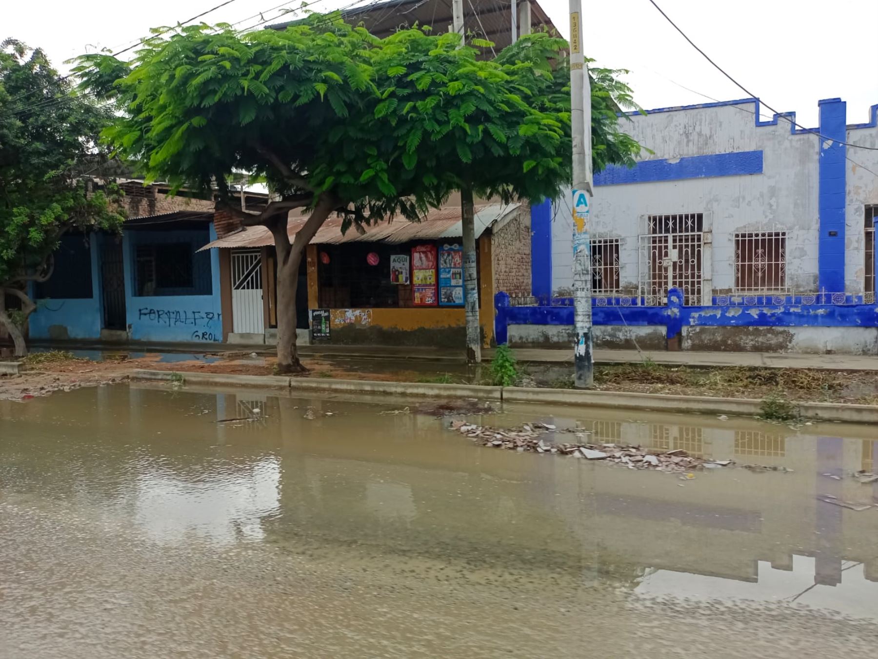 Una lluvia ligera sorprendió a los pobladores de la ciudad de Piura. La precipitación pluvial, que duró varias horas, anegó diversas calles. ANDINA/Difusión