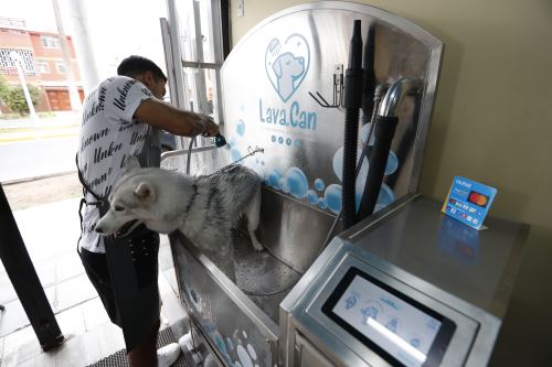 Lava Can: emprendimiento de  autoservicio de baño completo para mascotas