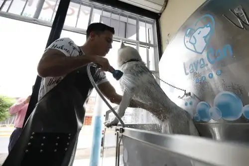 ANDINA/Daniel Bracamonte