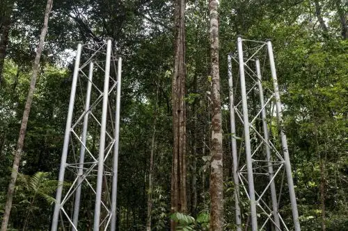 Fotografía cedida por el Ministerio de Ciencia, Tecnología e Innovación de Brasil de una gigantesca estructura a cielo abierto que ayudará a descubrir con antelación cómo será el futuro del bioma con los cambios climáticos, hoy en Manos (Brasil).