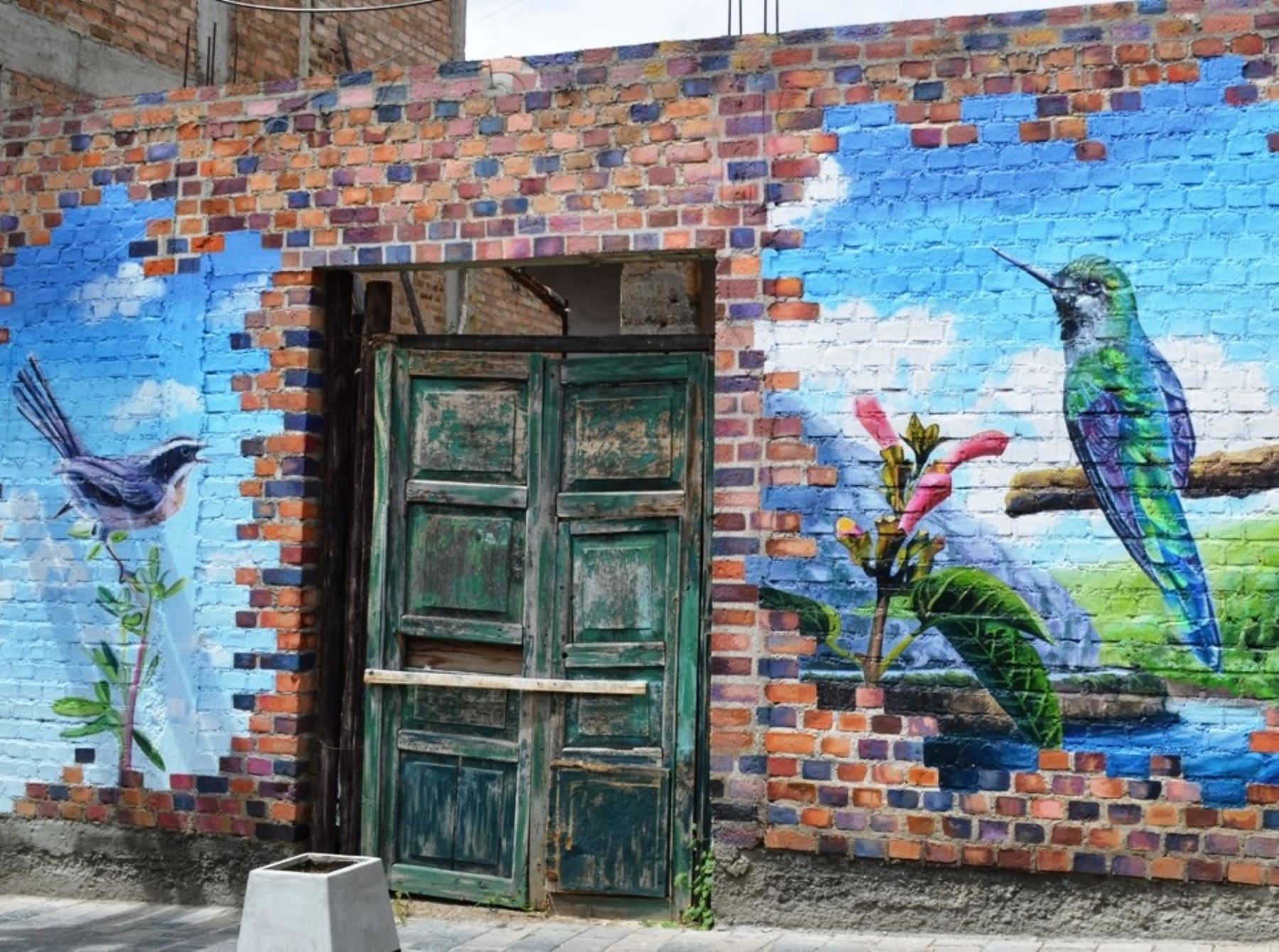 Presentan mural en la ciudad de Cajamarca que muestra aves en peligro de extinción. Foto: Eduard Lozano