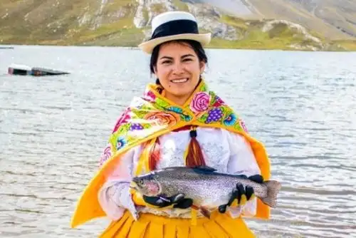 La veda de la trucha arcoíris en Huancavelica regirá desde el 1 de junio hasta el 31 de agosto del 2023. Foto: Produce