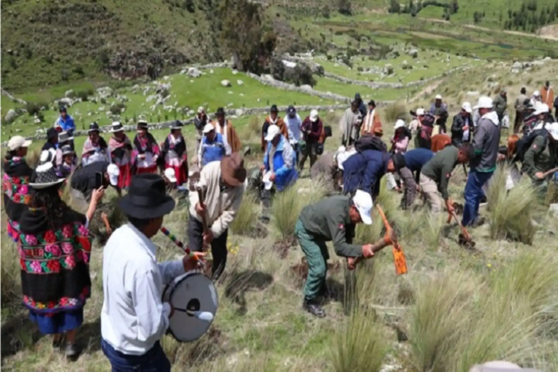 Durante las campañas se intervendrá la orilla del río Vilcanota (Calca y Urubamba) y se reforestarán áreas degradadas de la comunidad San Isidro de Chicón.