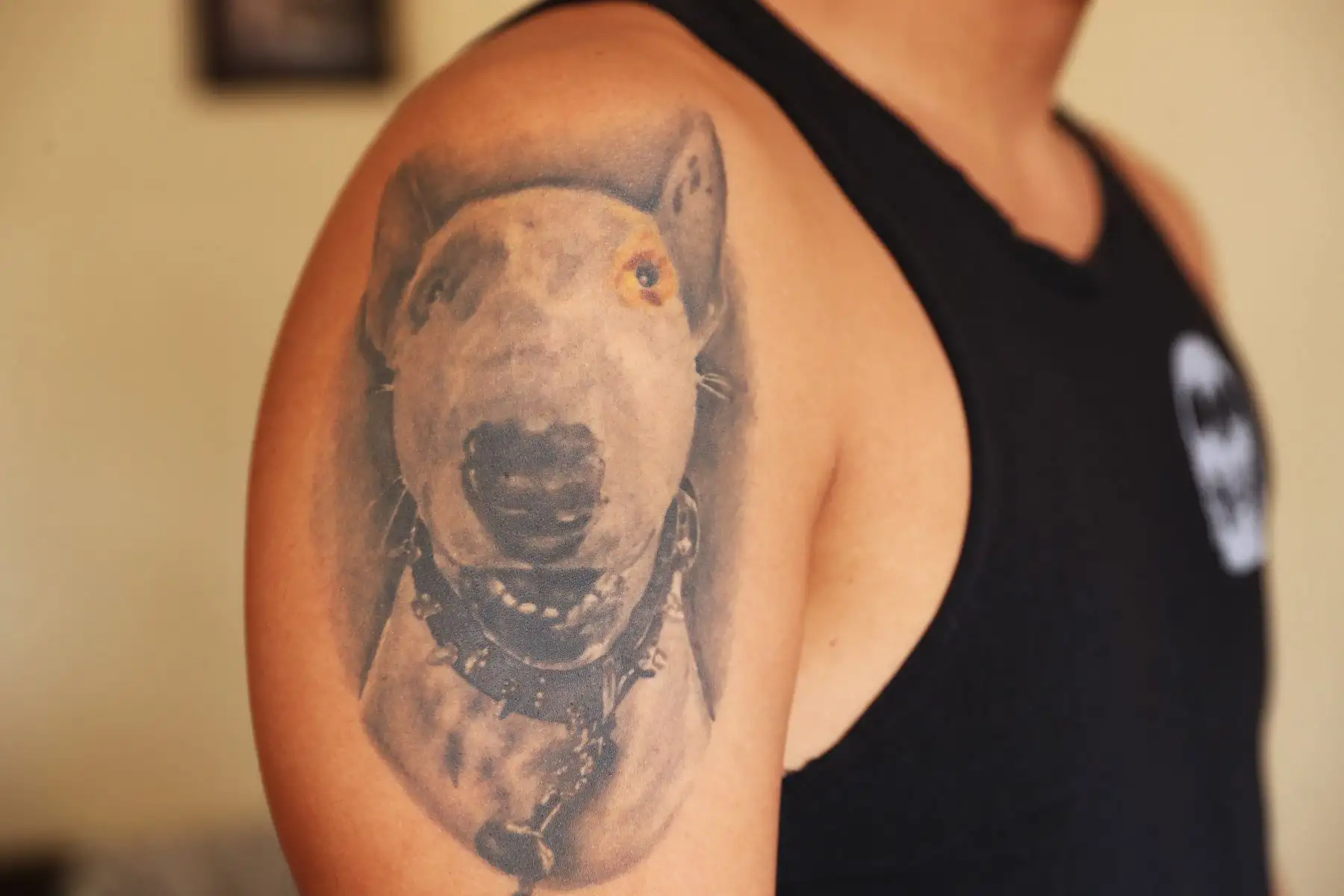 Walter Pequeño Salas elaboró su tesis inspirado en la experiencia personal que le tocó vivir al perder a su amada mascota, Capitán Morgan, un bull terrier de 6 años de edad. Foto: ANDINA/Daniel Bracamonte