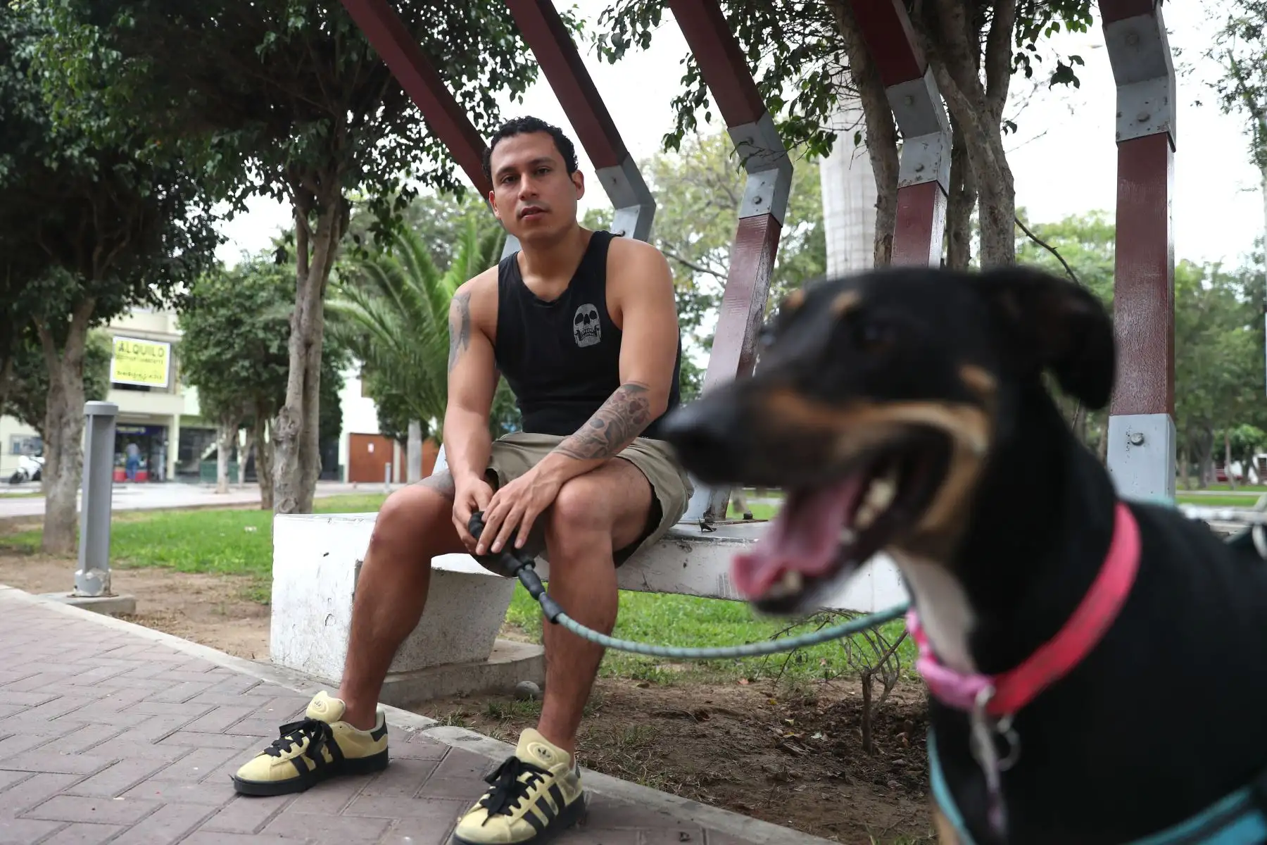 Años después de perder a Capitán Morgan, Walter Pequeño Salas adoptó a Lola, una perrita de casi 4 años que ahora se ha convertido en su fiel compañera. Foto: ANDINA/Daniel Bracamonte