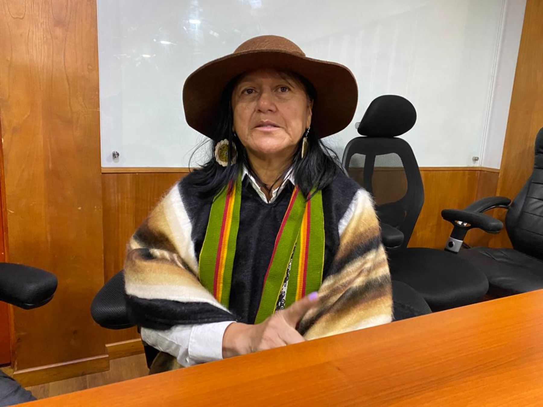 En entrevista con la Agencia Andina, desde Cusco, la ministra del Ambiente, Albina Ruiz, anunció que se plantarán más de medio millón de árboles en la ribera del río Vilcanota para impulsar la reforestación en Cusco. Foto: Percy Hurtado.