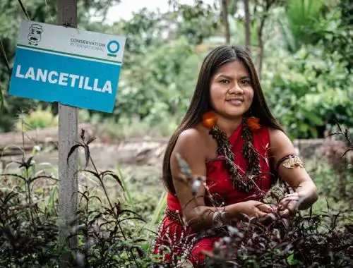 Agroideas destina S/ 28 millones para subvencionar proyectos de organizaciones agrarias. ANDINA/Difusión