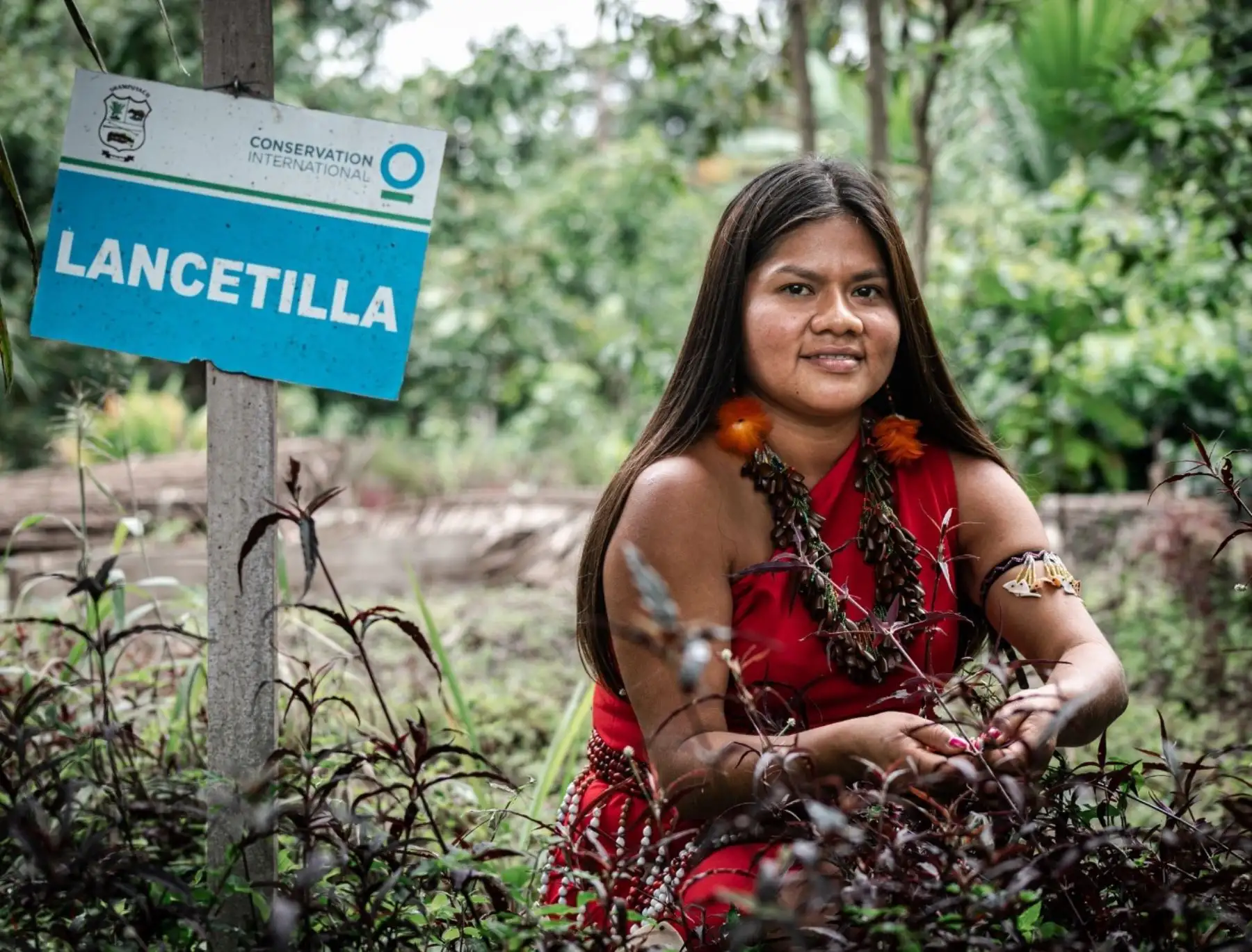 Agroideas destina S/ 28 millones para subvencionar proyectos de organizaciones agrarias. ANDINA/Difusión