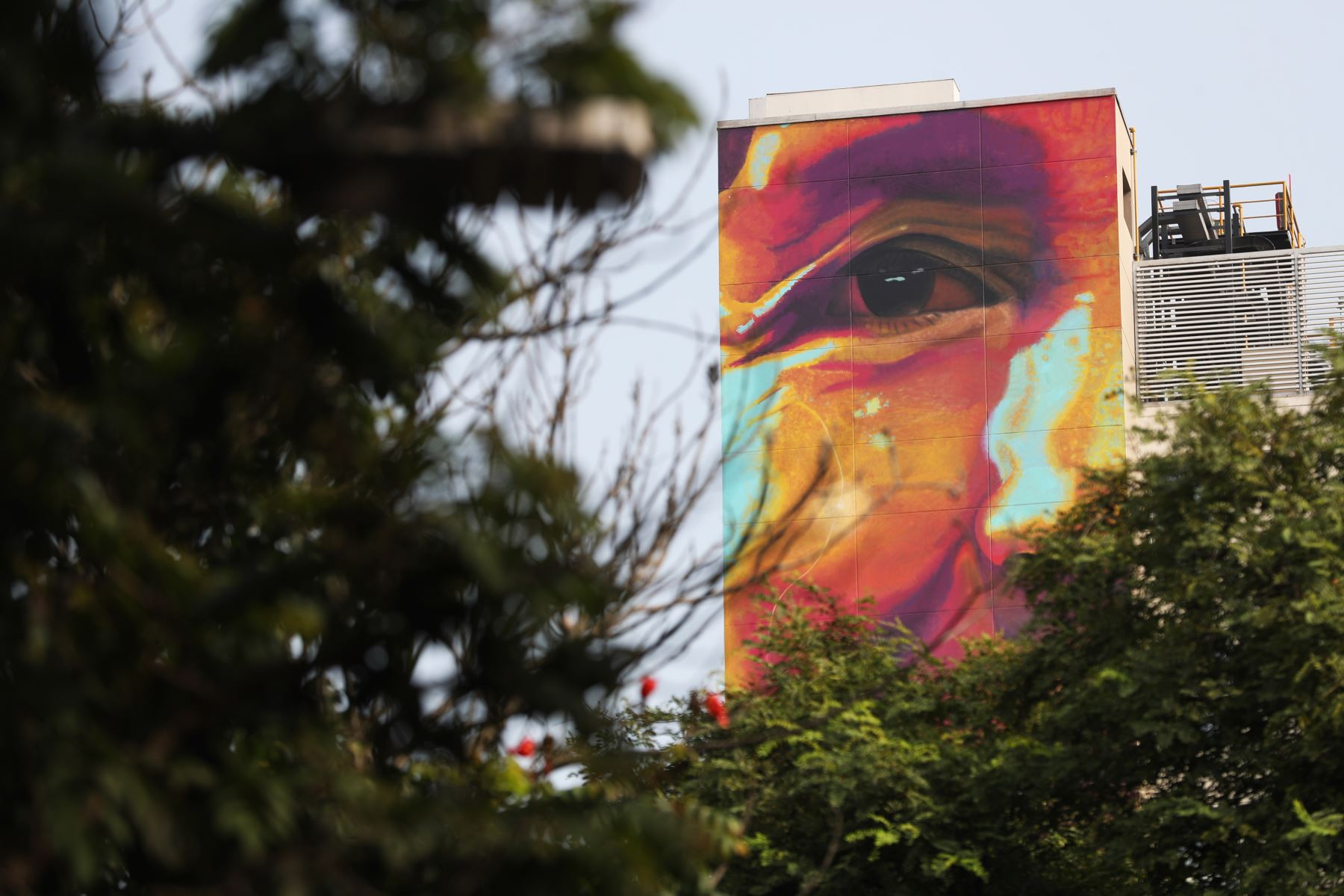 Detalle de mural artístico en Miraflores, ubicado en la cuadra 11 de la Av. Larco. Foto: ANDINA/Daniel Bracamonte