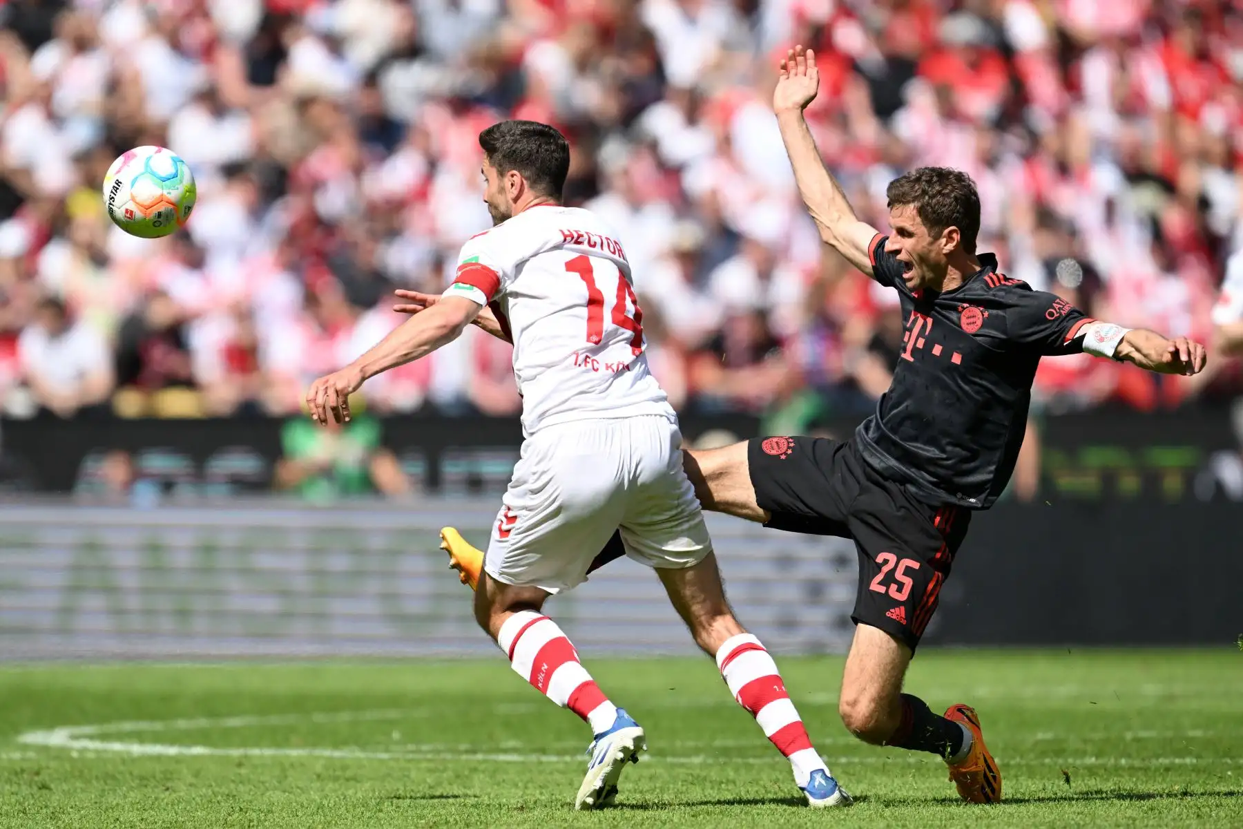 El defensor alemán de Colonia, Jonas Hector, y el delantero alemán del Bayern de Múnich, Thomas Mueller, compiten por el balón durante el partido de fútbol de la primera división de la Bundesliga alemana entre el FC Colonia y el FC Bayern de Múnich. Foto:ANDINA/AFP