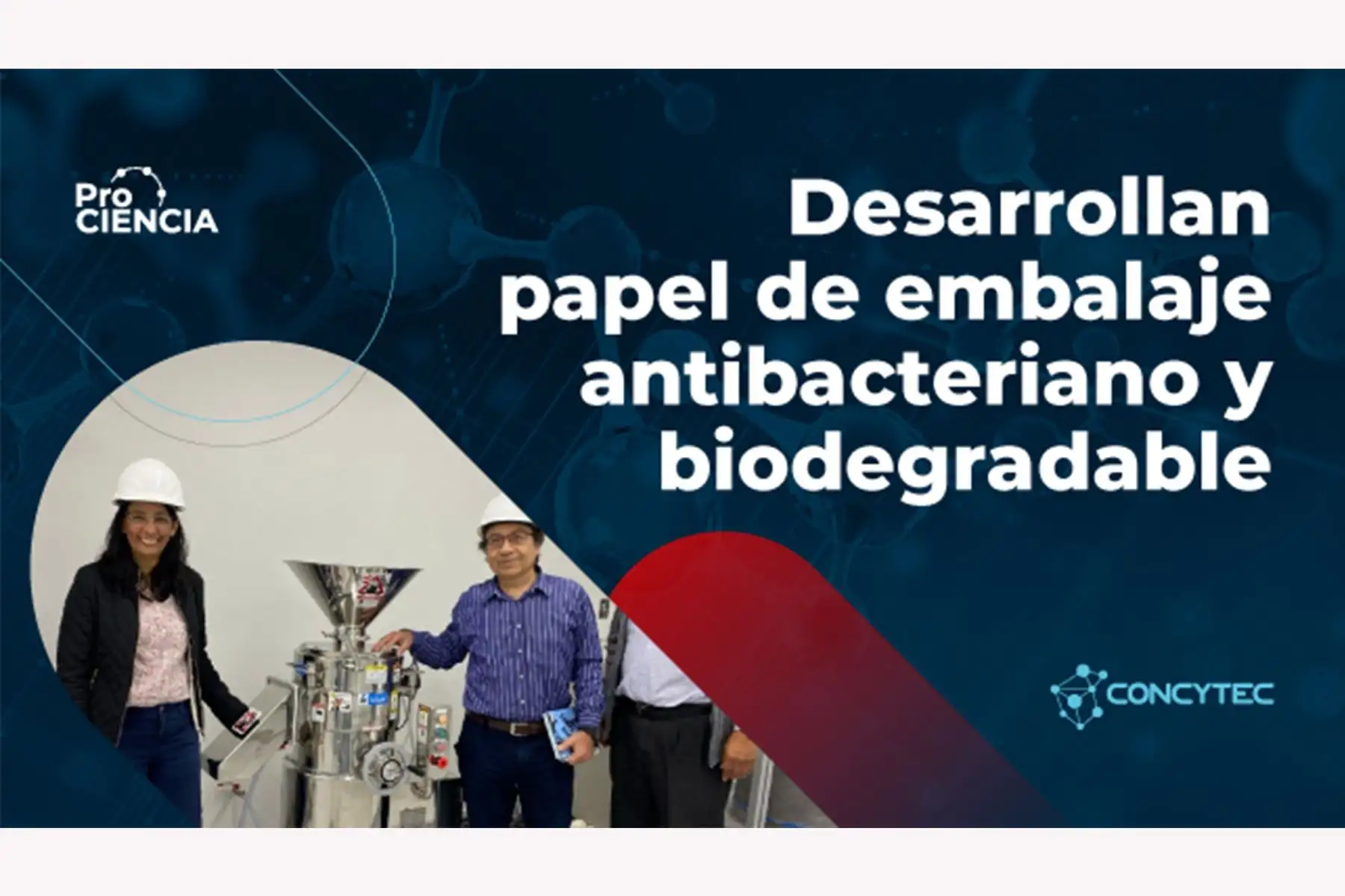 Desarrollan un papel de embalaje antibacteriano y biodegradable destinado a la industria alimentaria.
