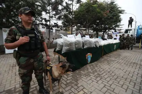 ANDINA/Daniel Bracamonte