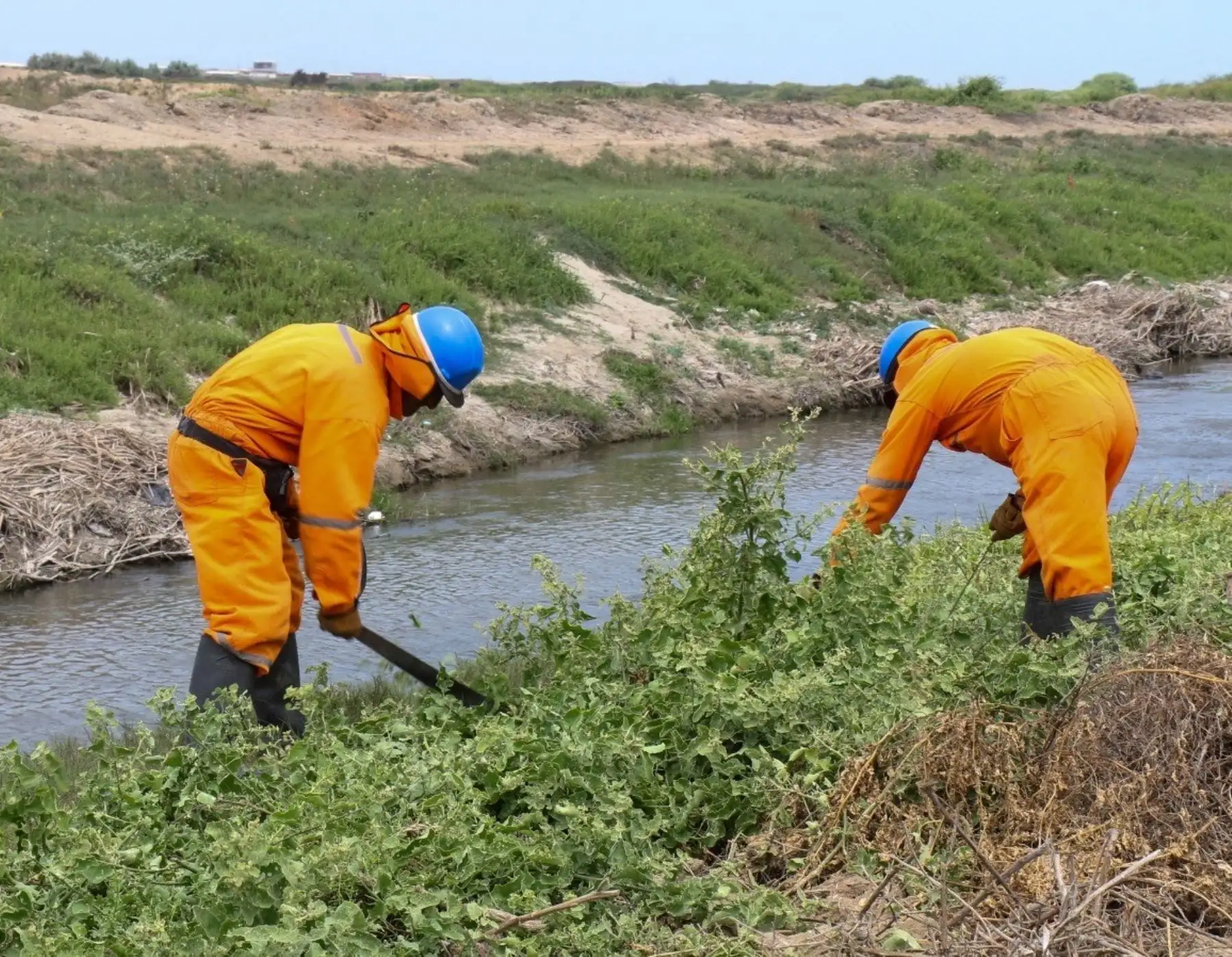 Lambayeque se prepara para El Niño e inicia el mantenimiento de 41 kilómetros de drenes ubicados en dicha región. ANDINA/Difusión