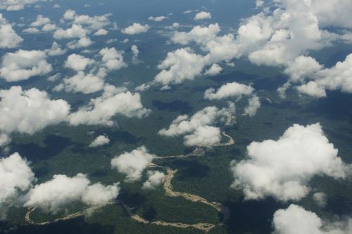Parque Nacional del Manu: medio siglo cuidando una biodiversidad sin parangón en el mundo