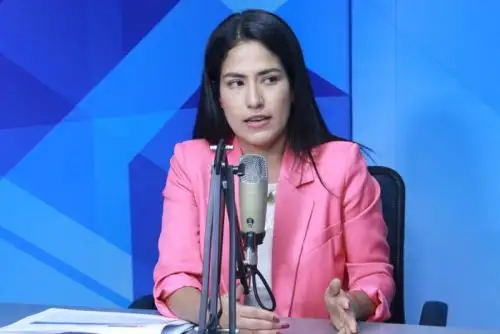 Se ha previsto que la nueva carretera Central tenga conexión con el Mercado Mayorista de Lima, ubicado en el distrito limeño de Santa Anita.