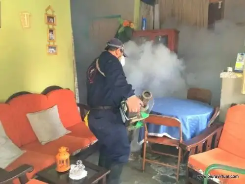 Piura: Gore continúa con campañas de fumigación para hacer frente al dengue.