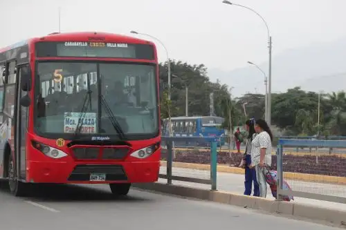Barandas de seguridad que dividen el carril exclusivo han sido sacadas en distintos puntos y vecinos aprovechan esos espacios para cruzar, poniendo en riesgo sus vidas. Fotos: ANDINA/Ricardo Cuba