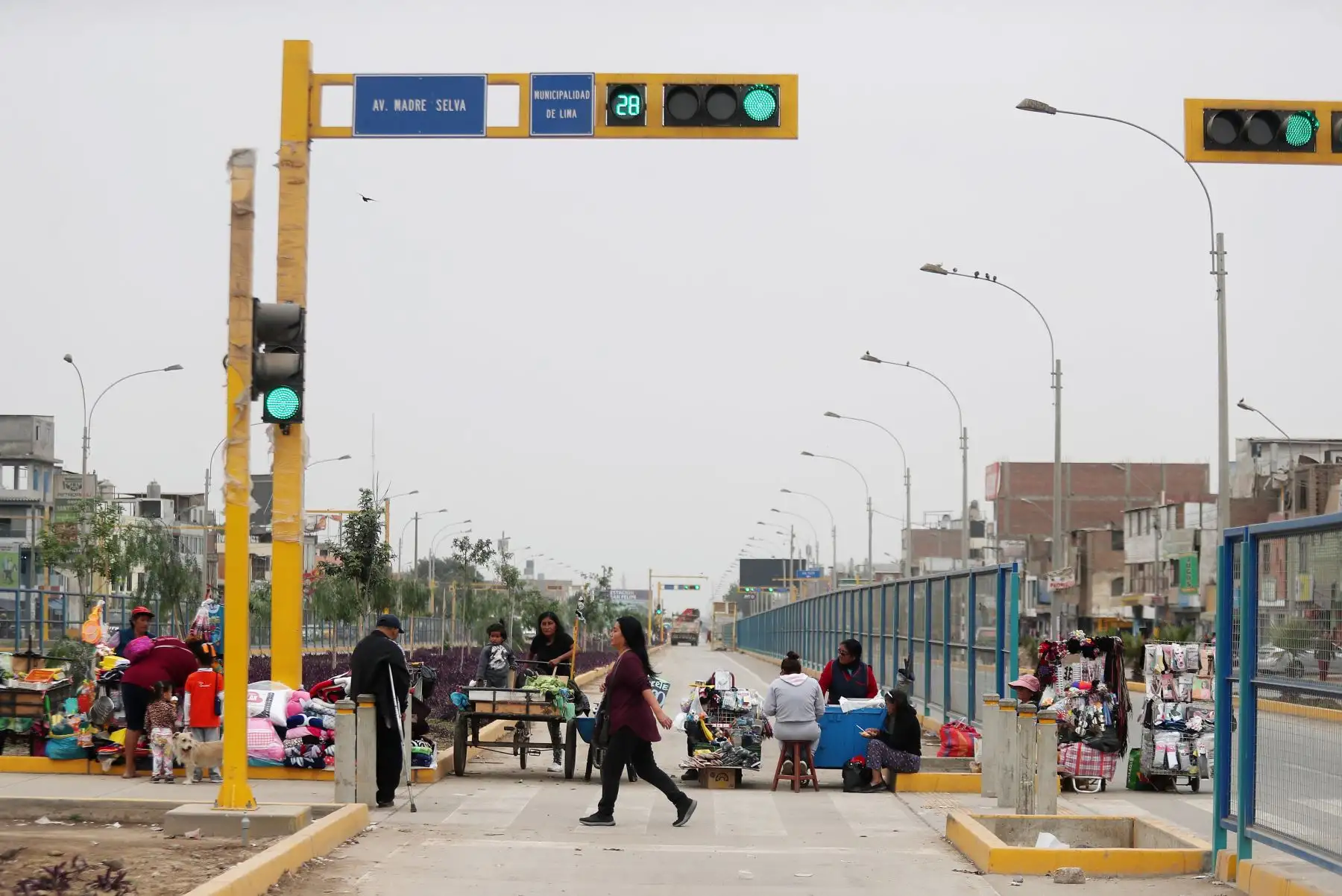 Ampliación del  tramo norte del Metropolitano esta finalizado pero aun no se utiliza, los vecinos usan ese carril para montar bicicletas, pasear, también entran motos  autos y las personas exponen sus vidas al cruzar a través de las rejas  que fueron retiradas a falta de puentes.
Foto: ANDINA/Ricardo Cuba