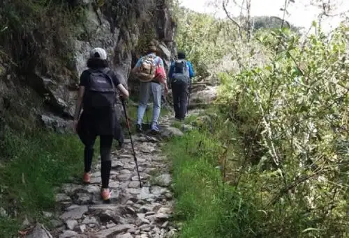 Desde este martes 1 de abril la Red de Caminos Inca hacia Machu Picchu volverá a recibir a visitantes. Esta ruta es considerada una de las mejores del mundo para realizar trekking.