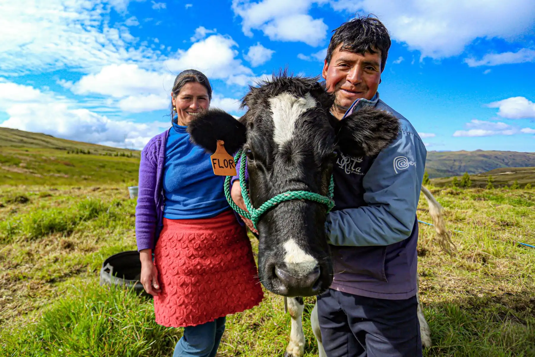 El Midagri resaltó el trabajo de pequeños y medianos productores ganaderos, con ocasión del Día Mundial de la Leche. Foto: Midagri/Difusión.