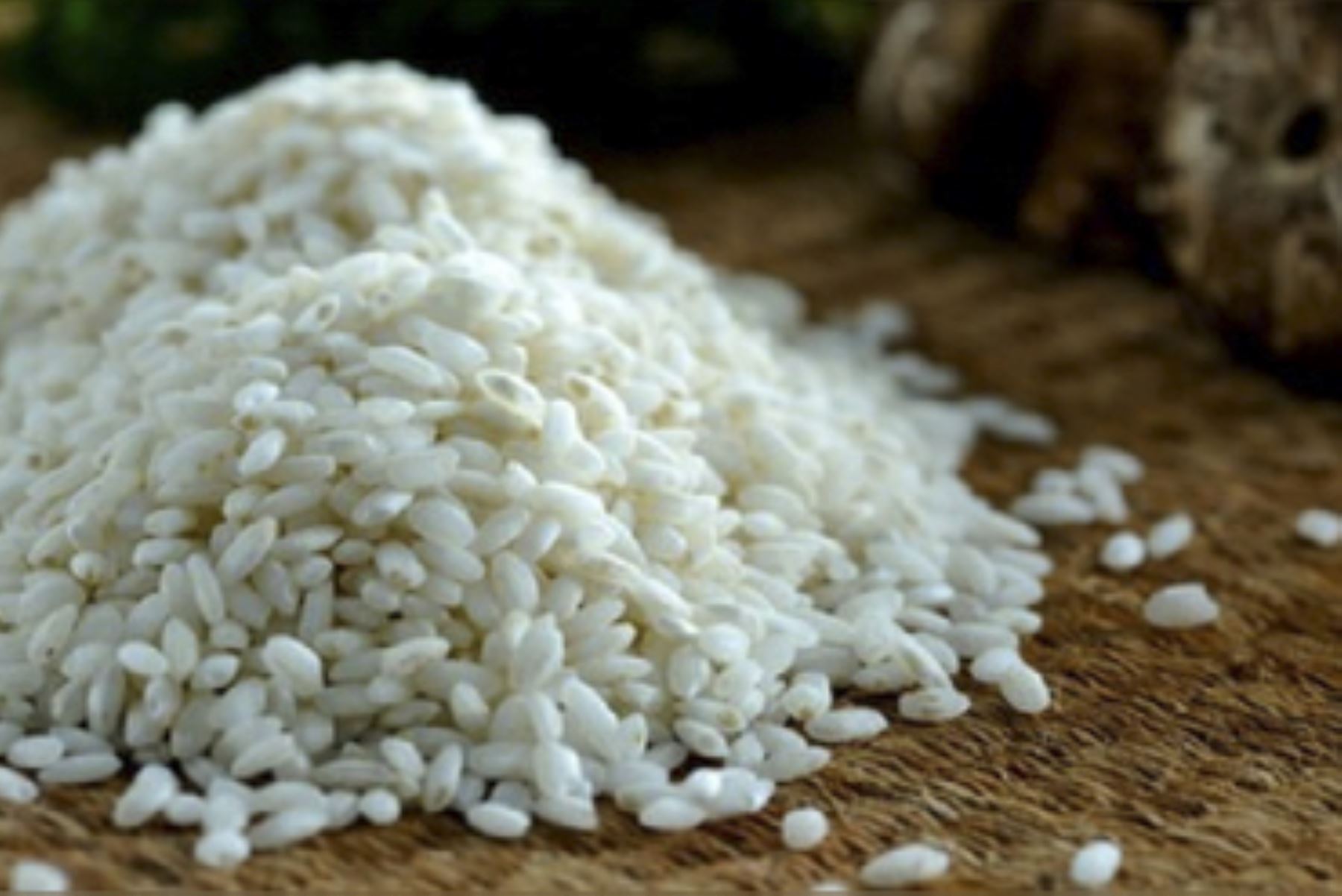 En la provincia lambayecana de Ferreñafe se siembran más 30,000 hectáreas de arroz al año. Foto: ANDINA/Difusión
