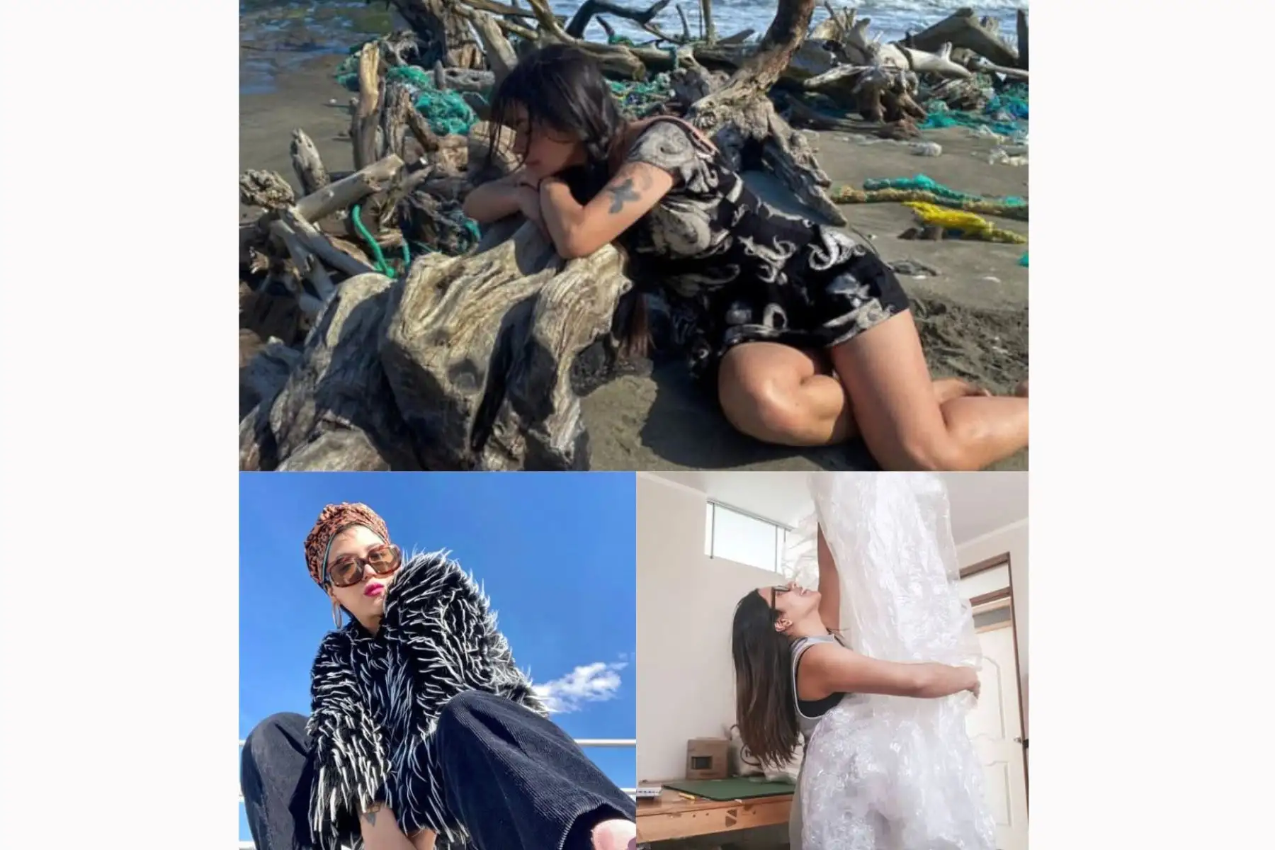 ANDINA/Difusión