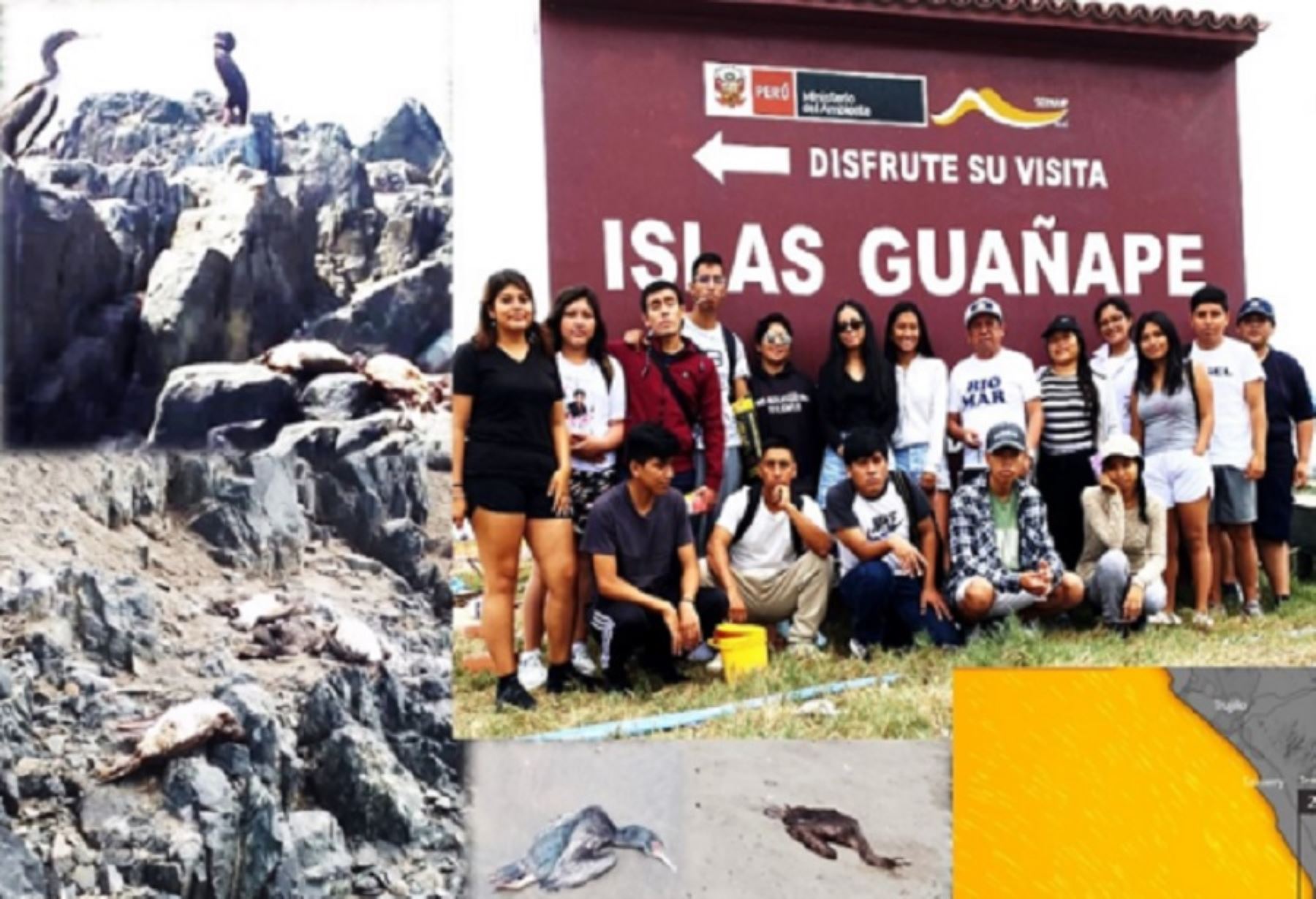 Gran cantidad de aves muertas fueron encontradas por un grupo de alumnos del V ciclo de Biología de la Universidad Nacional de Trujillo durante una visita de estudios a las islas Guañape, ubicadas frente a puerto Morín, en el distrito y provincia de Virú, en la región La Libertad.