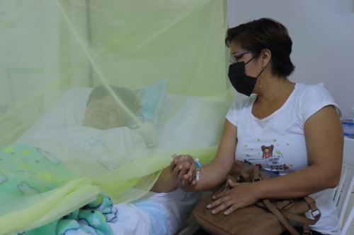 La infección por dengue se manifiesta con fiebres altas, dolores musculares, dolor de cabeza y deshidratación.  Foto: ANDINA/Difusión