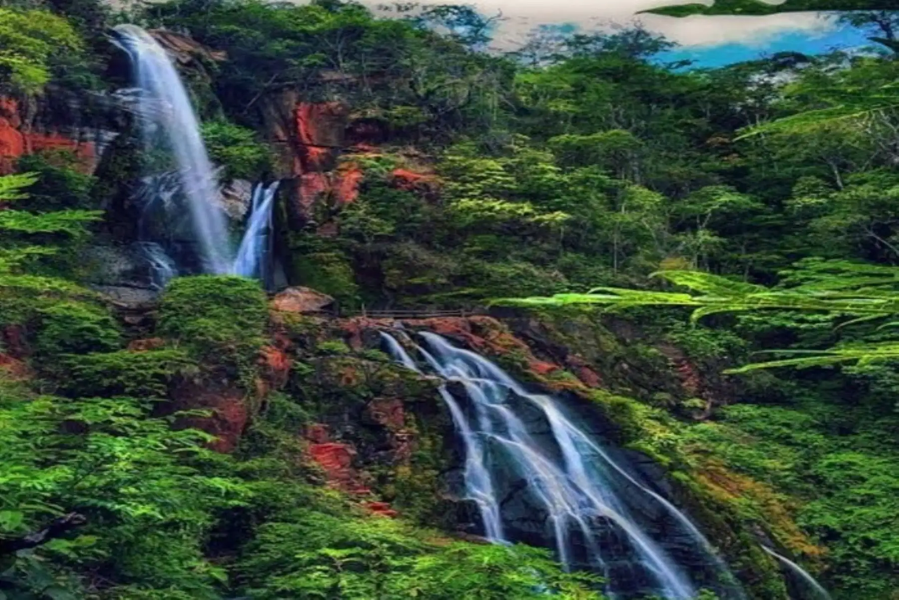 Cortesía