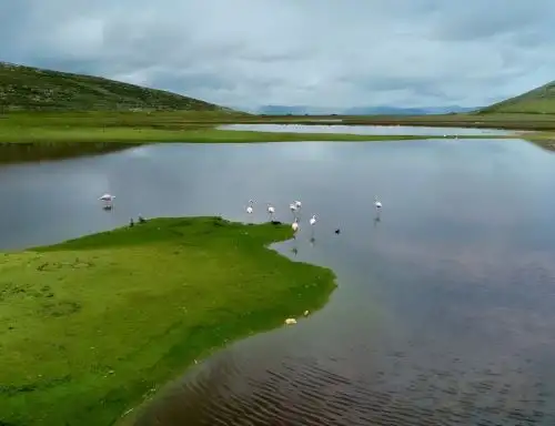 estrenan documental sobre remediación en el Delta Upamayo. ANDINA/Difusión