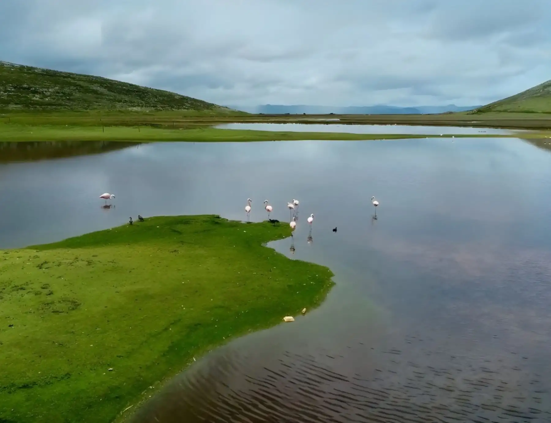 estrenan documental sobre remediación en el Delta Upamayo. ANDINA/Difusión