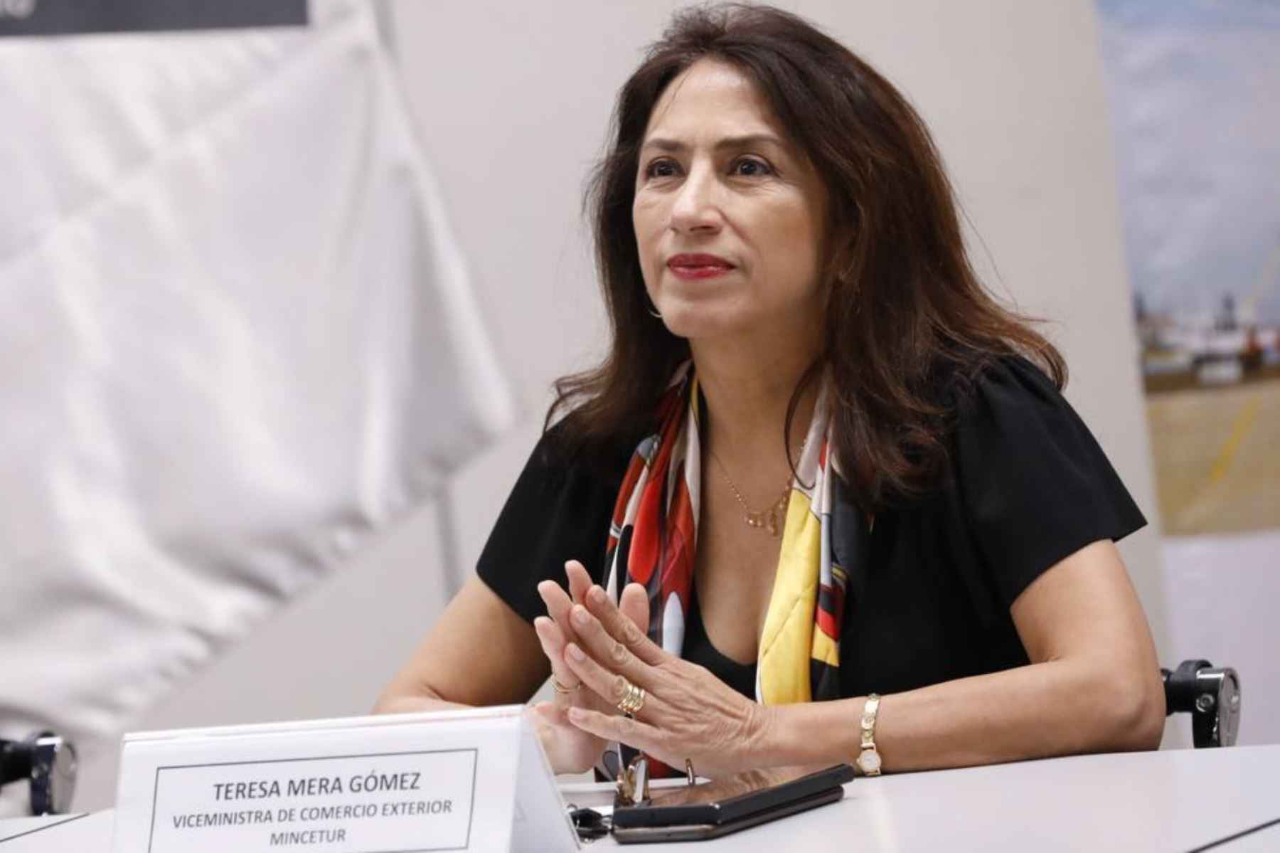 Viceministra de Comercio Exterior, Teresa Mera Gómez